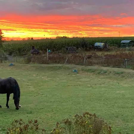 Schmidt * Rosengarten (Lower-Saxony)